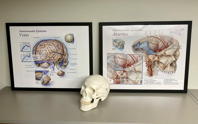 La Guida Completa All'anatomia: Artisti E Illustratori